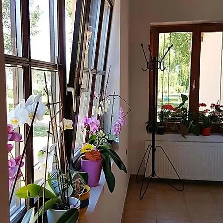 Bed & Breakfast Balaton Panzio