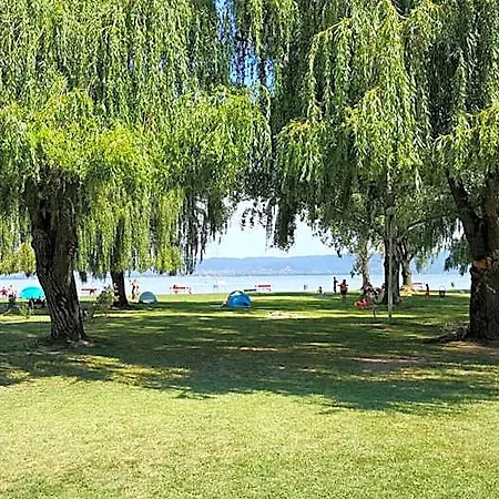 Balaton Panzio Bed & Breakfast