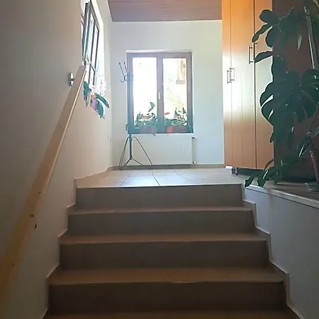 Balaton Panzio 3*