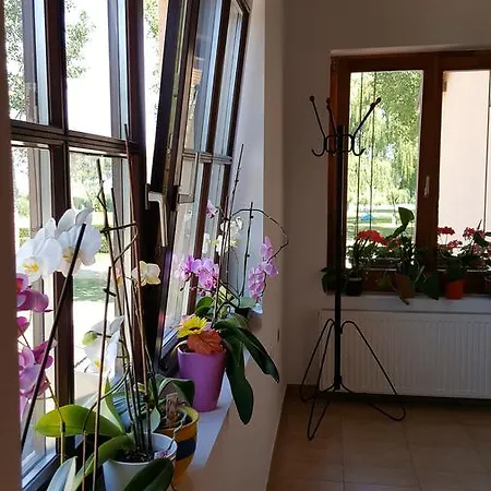 Balaton Panzio 3*