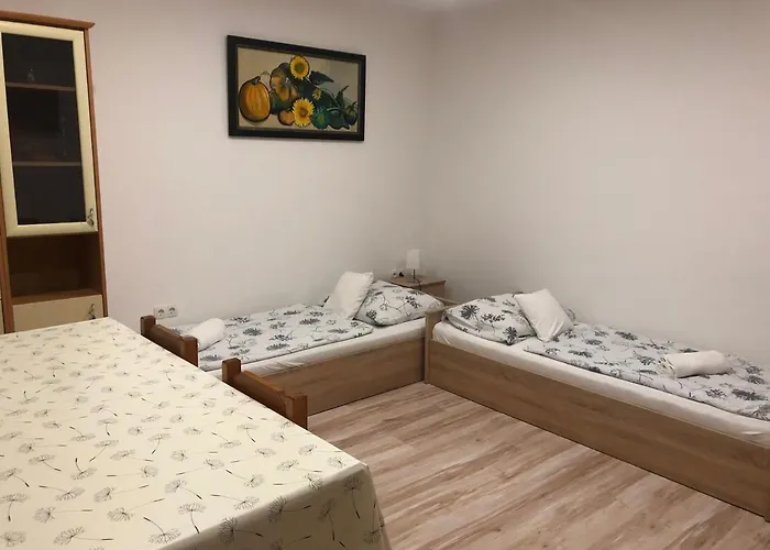 Oda ve Kahvaltı Balaton Panzio