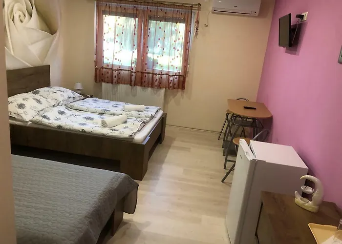Oda ve Kahvaltı Balaton Panzio